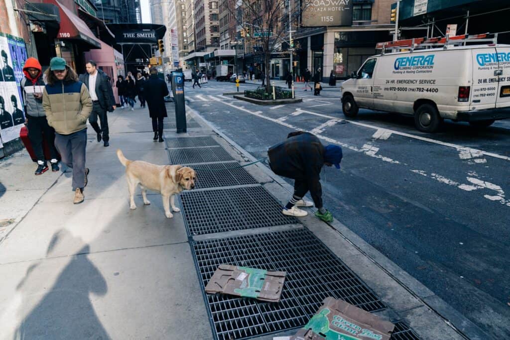 biodegradable dog poop bags