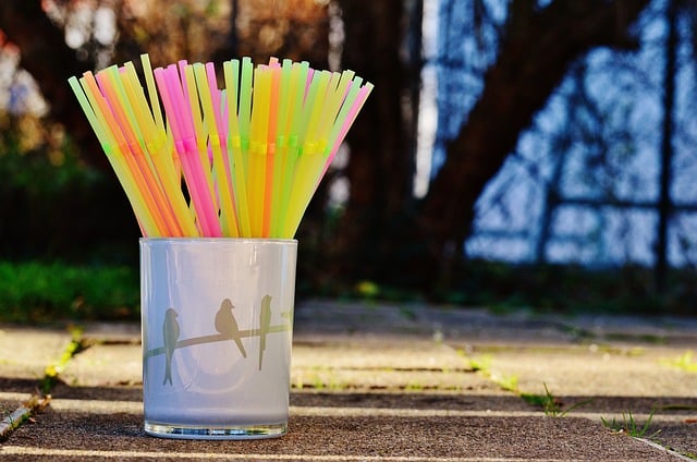 plastic straws reusable