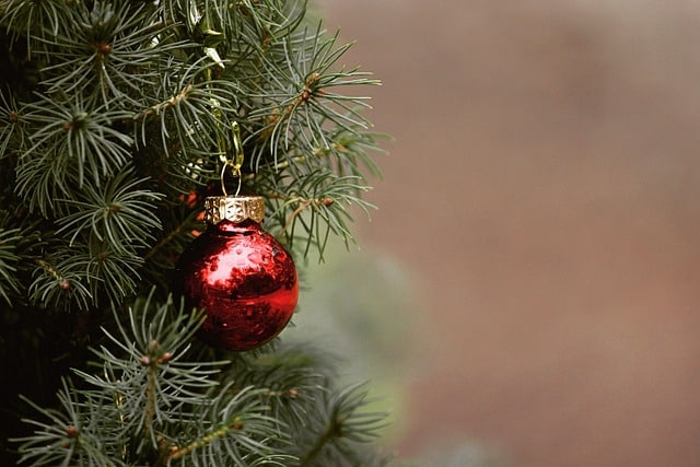 environmentally friendly christmas tree